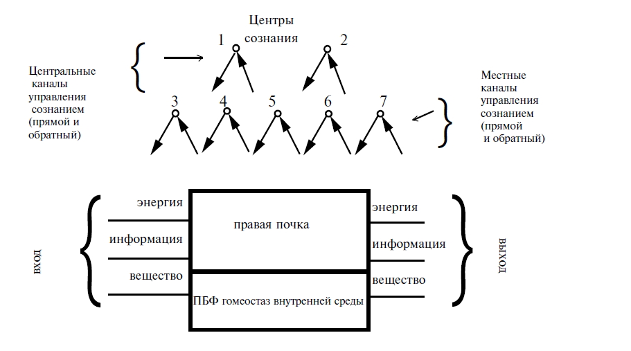 Символы И Кристаллы Пучко